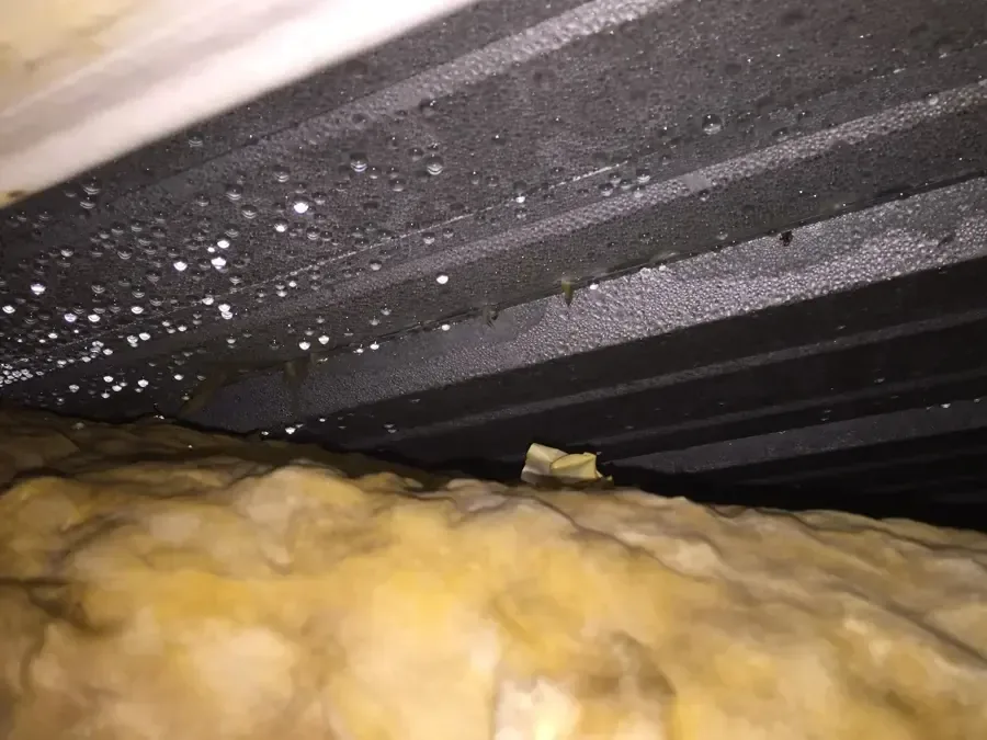 Water droplets under the roof deck above soaked attic insulation
